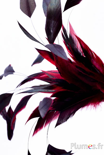 Hahnenschlappen Body Split - 23-28 cm - schwarz-dunkelrot